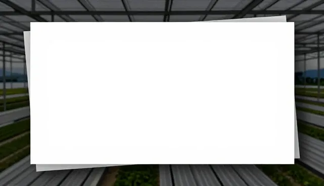 又名林州站长网:网络推广策略在企业管理系统中的落地实践